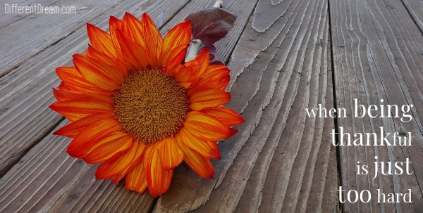 When being thankful is hard as a special needs parent this Thanksgiving, stop trying to be grateful and take comfort in this mercy and compassion.