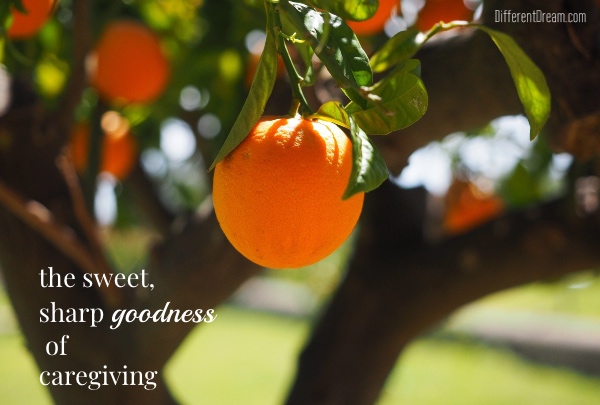 Caregiving parents remind me of the sweet joy in the middle of goodness that is raising kids with special needs. Not always easy, but joyful and good.