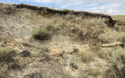 It Feels Like See Jane Dig! Already Made the News