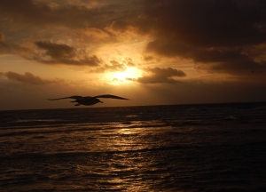 A Shadow Cast, Part 2