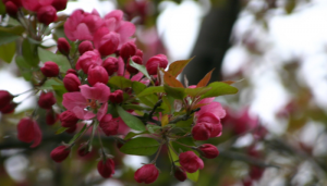 Messing with God’s Palm Pilot