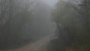 Ah, Spring!