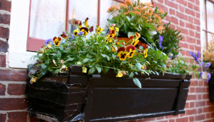 Elfreth’s Alley