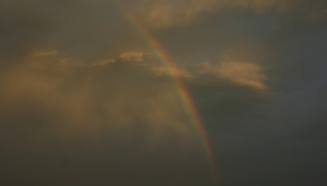 Walking Beside a Rainbow