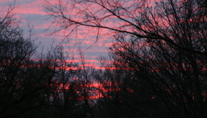 shapeimage_1-54
