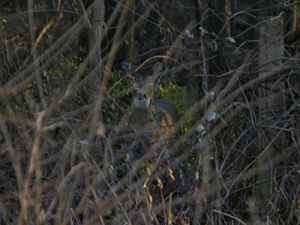 Less Than Perfect Circumstances