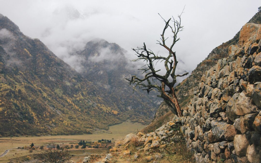 Grief and Hope On the Other Side of the Mountain