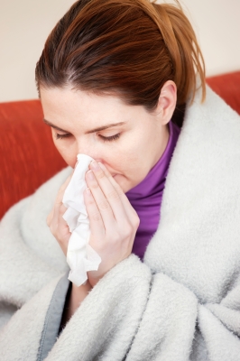 This Blog Interrupted by the 2012-13 Cold & Flu Season