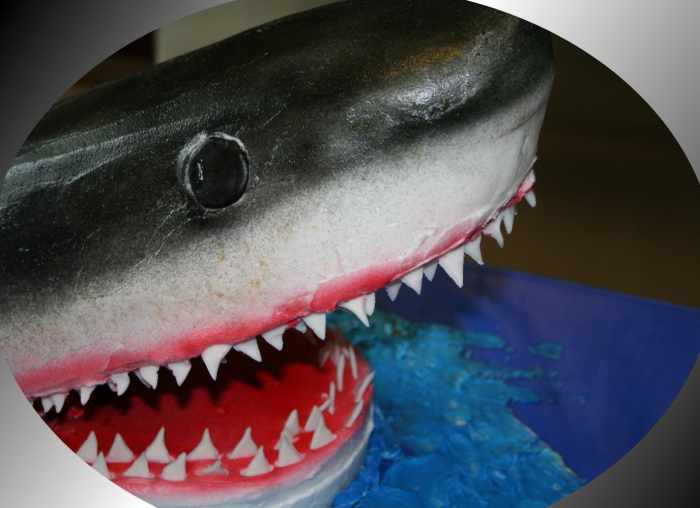 Pediatric Dental Surgery: What Parents Need to Know, Pt. 1
