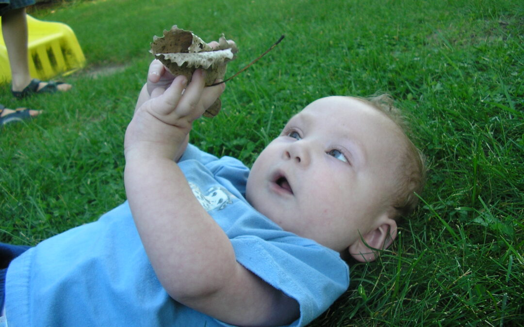 Brokenness and Special Needs: All In Seeds in God’s Garden