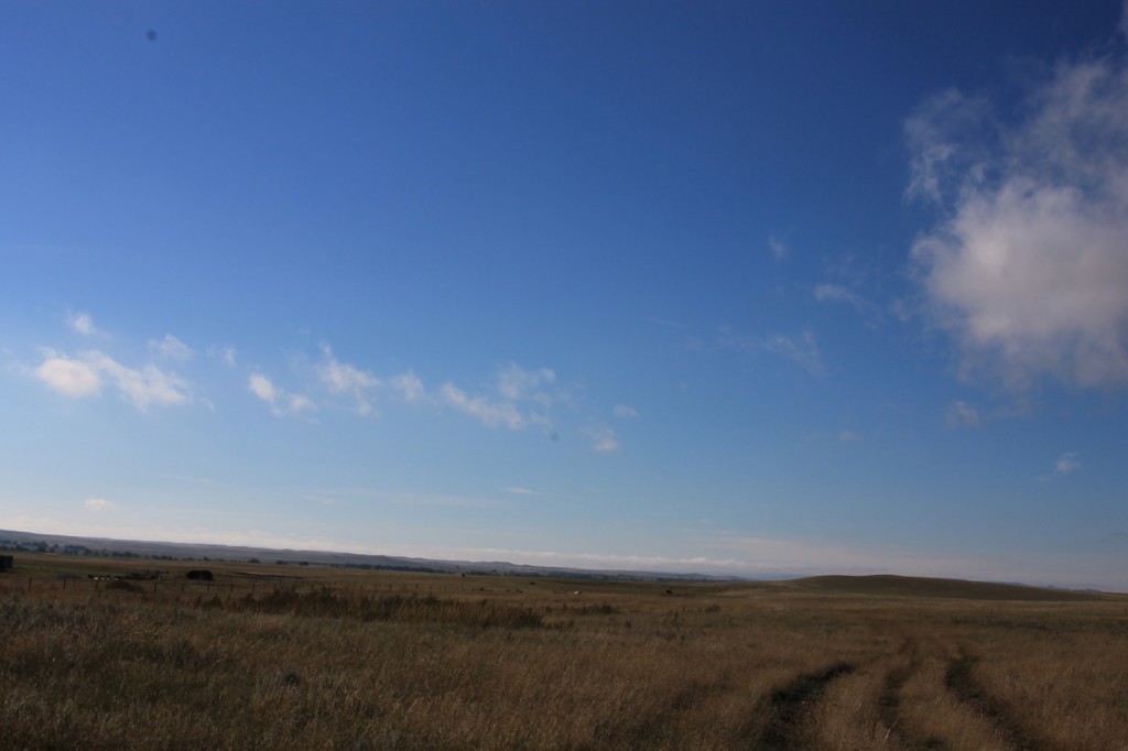 Harding County open spaces