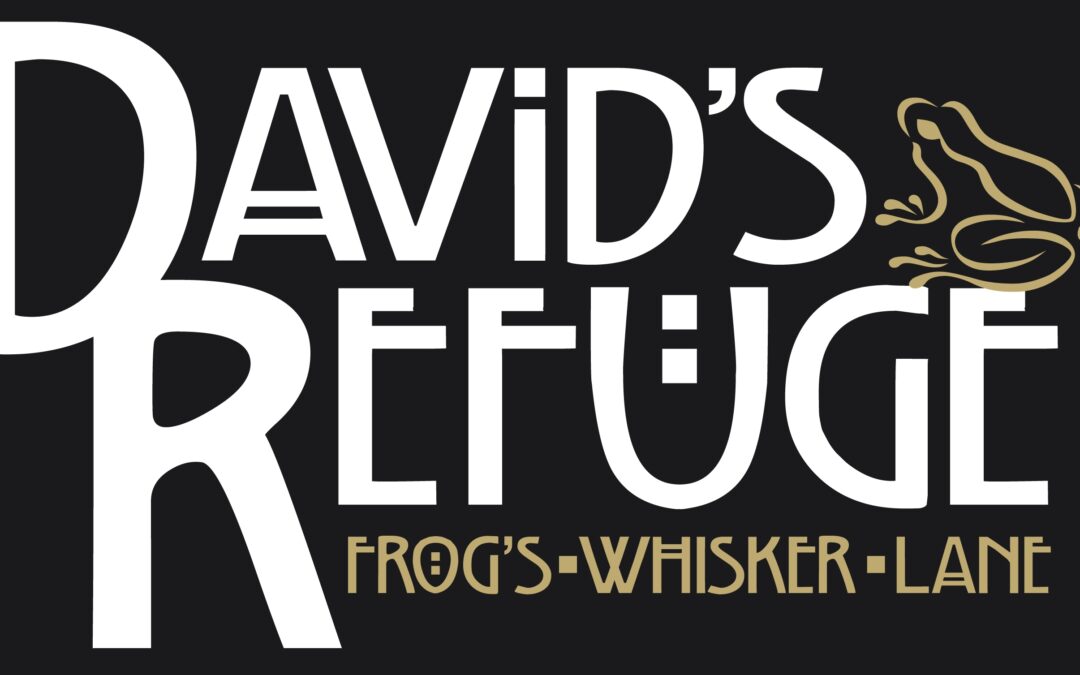 The David’s Refuge Story, Pt. 3