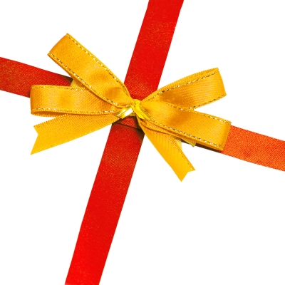 Gift Ideas for Kids and Teens with Special Needs