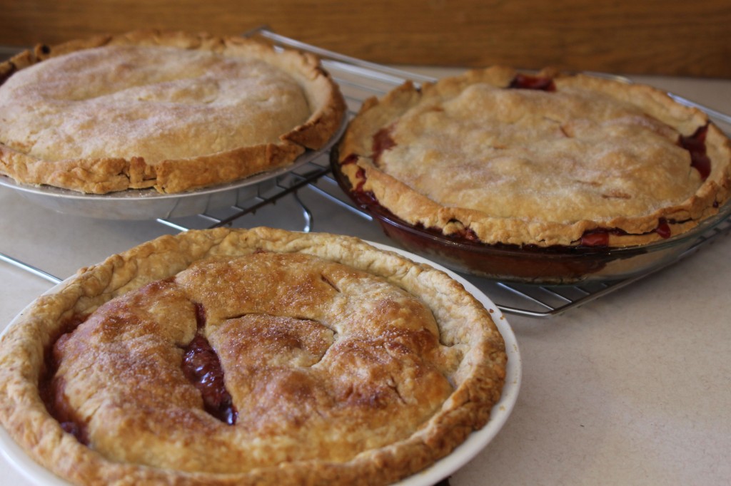 Thanksgiving pies