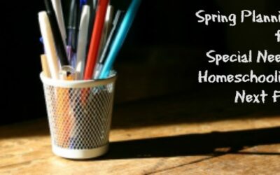 Plan Now for Next Year’s Special Needs Homeschooling