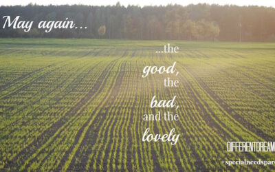May Again: Memories of the Good, the Bad, and the Lovely