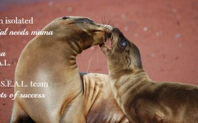 4 Tips to Creating a Special Needs Mom S.E.A.L. Team