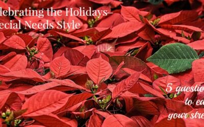 Celebrating the Holidays Special Needs Style