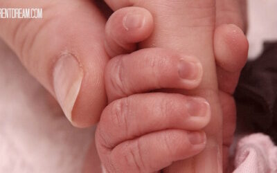 An EA TEF Parent Is Born