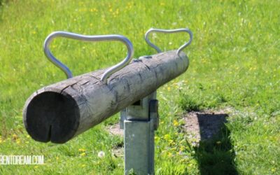 Finding Balance in Special Needs Parenting and Stress, Pt. 7