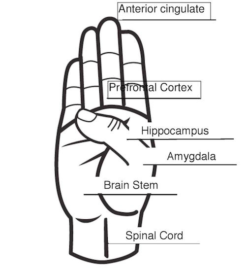 This post in the Inside Out Special Needs Parenting series takes a look at brain basics to explain why kids can push our buttons.