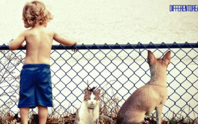 Summer Planning Tips for Parents of Kids with Special Needs