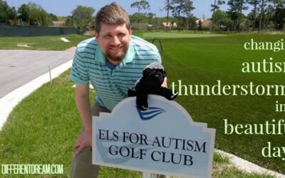 Autism Thunderstorms and Beautiful Days