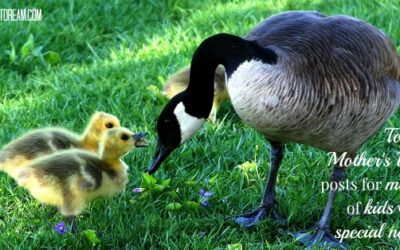 Mother’s Day Top Ten at Different Dream