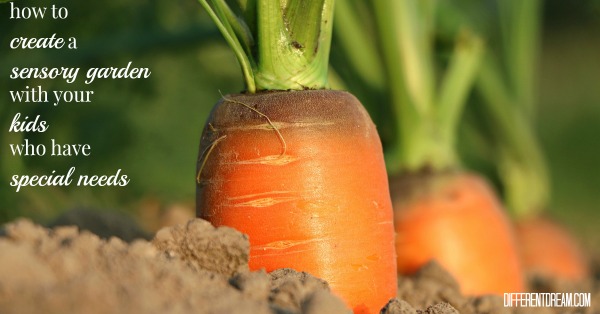 How to Create a Sensory Garden for Kids with Special Needs