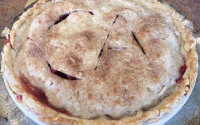 #8 Troubleshooting Pie for Thanksgiving