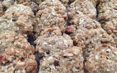 Coconut Cookies Redo