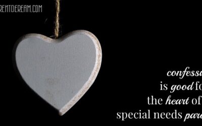 Confessions of a Special Needs Parent