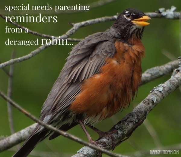 4 Special Needs Parenting Reminders from a Deranged Robin