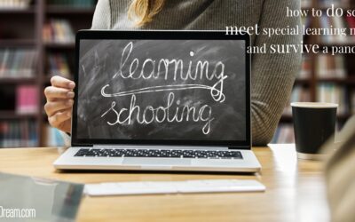 School Options for Special Needs Students in 2020-21