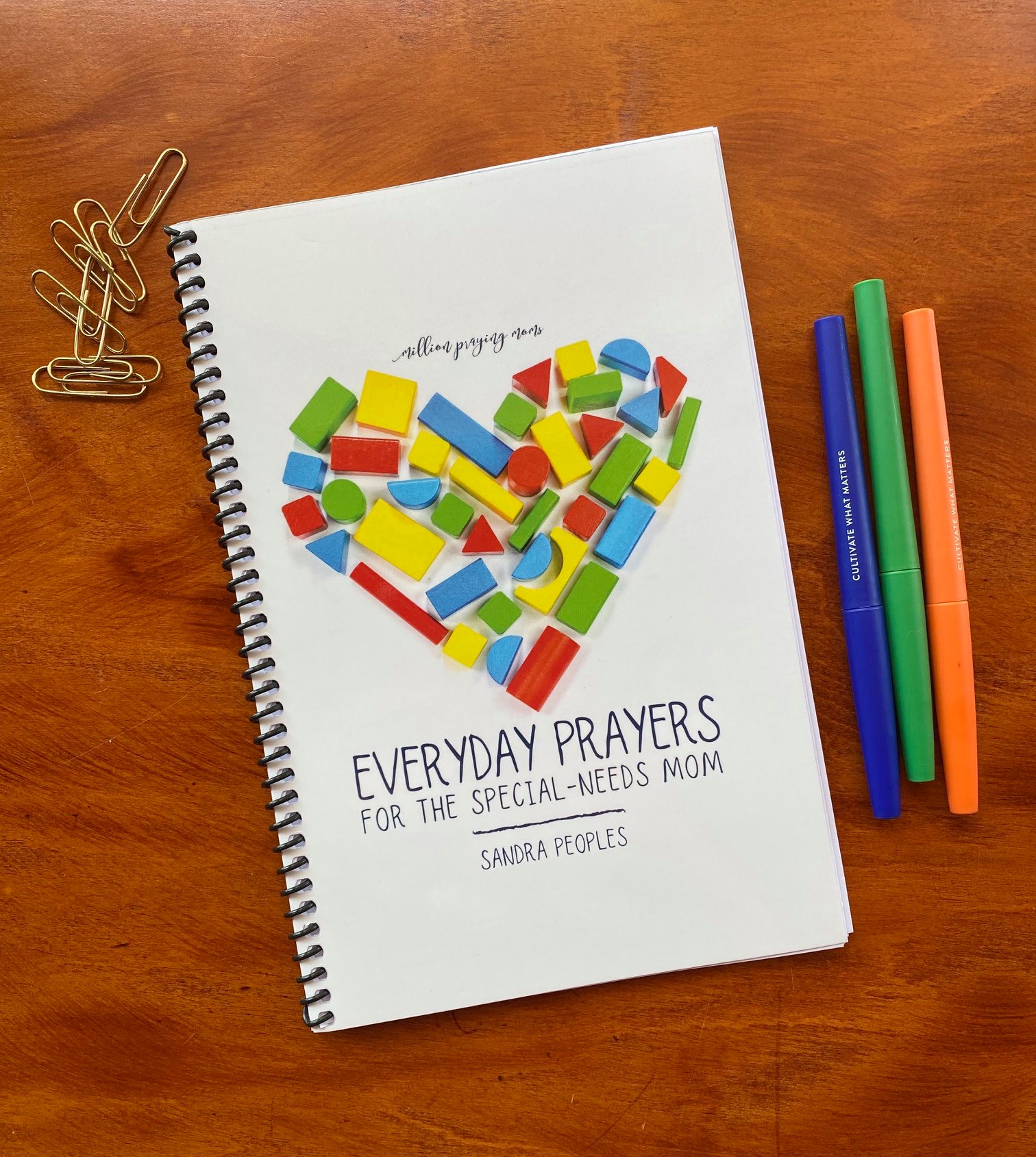 Sandra Peoples believes praying scripture over your child with special needs is important. She's created a resource to help you do it.