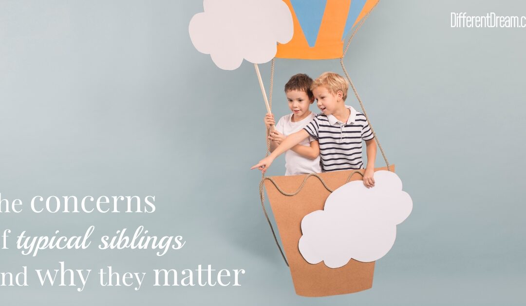Concerns of Siblings of Children with Special Needs