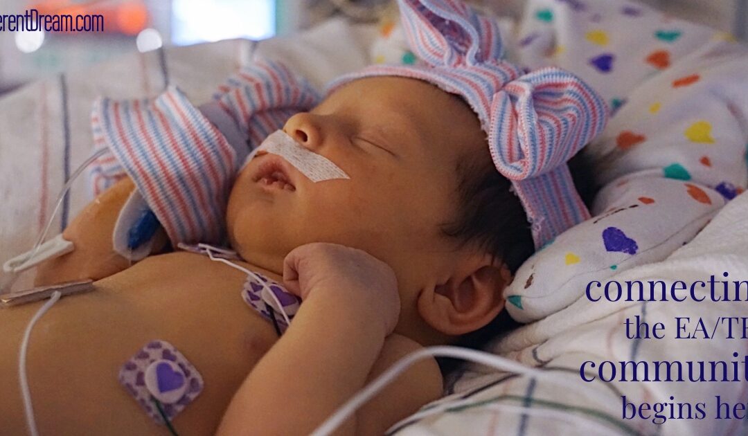 Connecting the EA/TEF Community: Indie’s Story