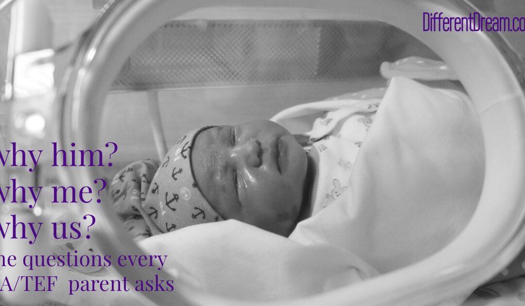 The Questions Every EA/TEF Parent Asks: Why Him, Why Me, Why Us?