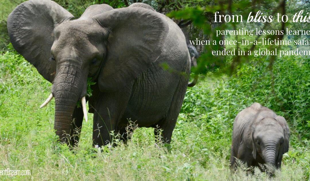 Tips for Raising Kids with Disabilities and Special Needs, Part 1