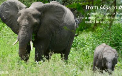 Tips for Raising Kids with Disabilities and Special Needs, Part 1