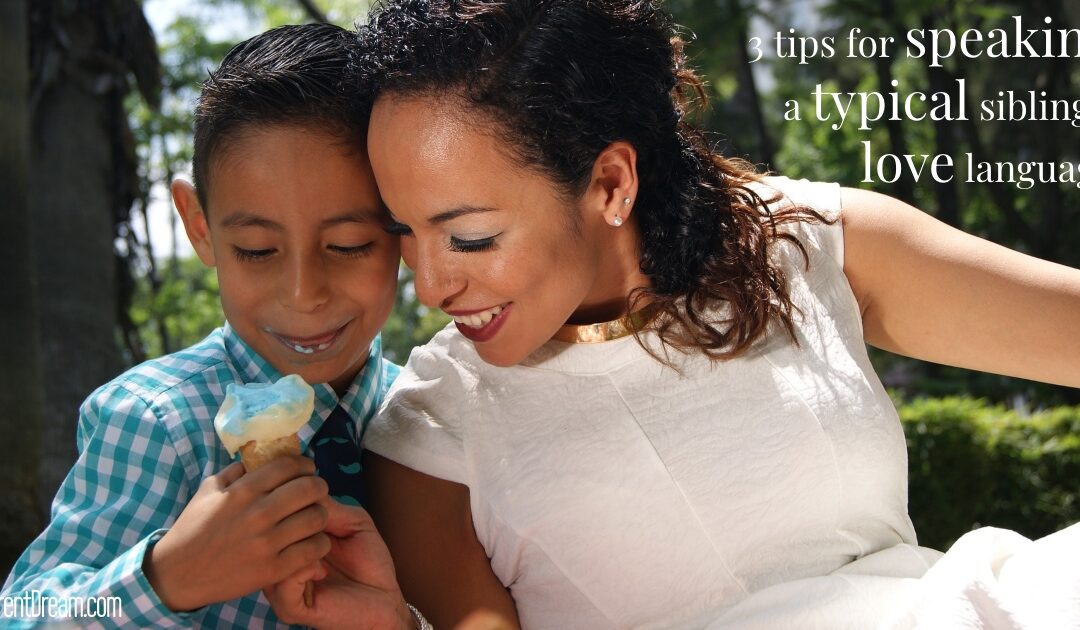 Using the Love Languages with Siblings of Kids with Special Needs and Disabilities