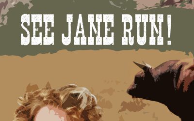 The Cover Art for See Jane Run!
