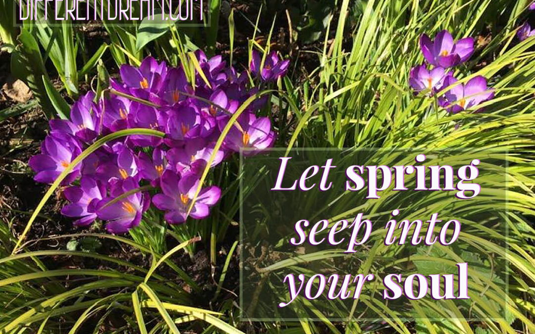 10 Ways Families Impacted by Disabilities and Special Needs Can Enjoy Spring