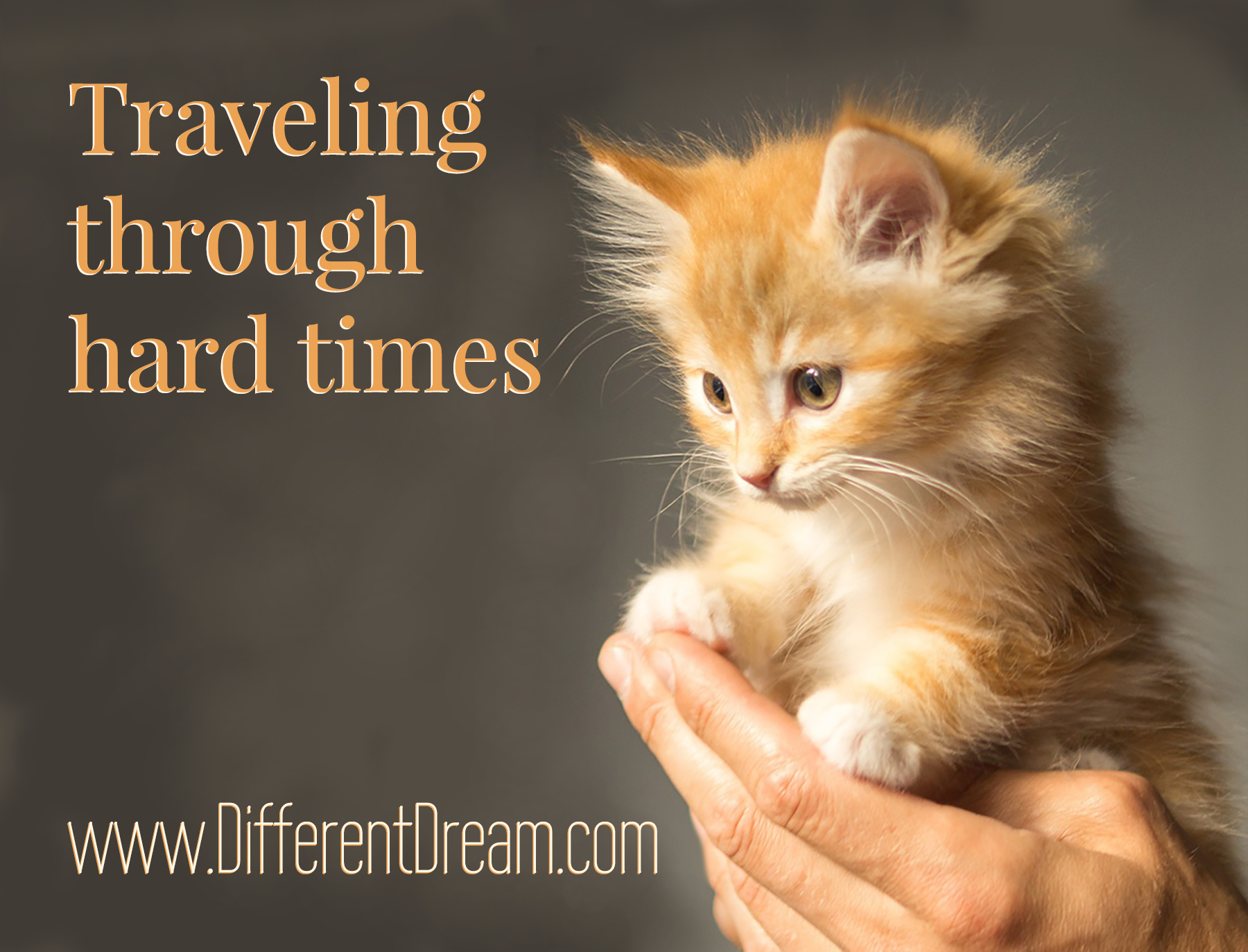 Guest blogger Lisa Pelissier explains the different methods she is using to cope with a rough season in life.