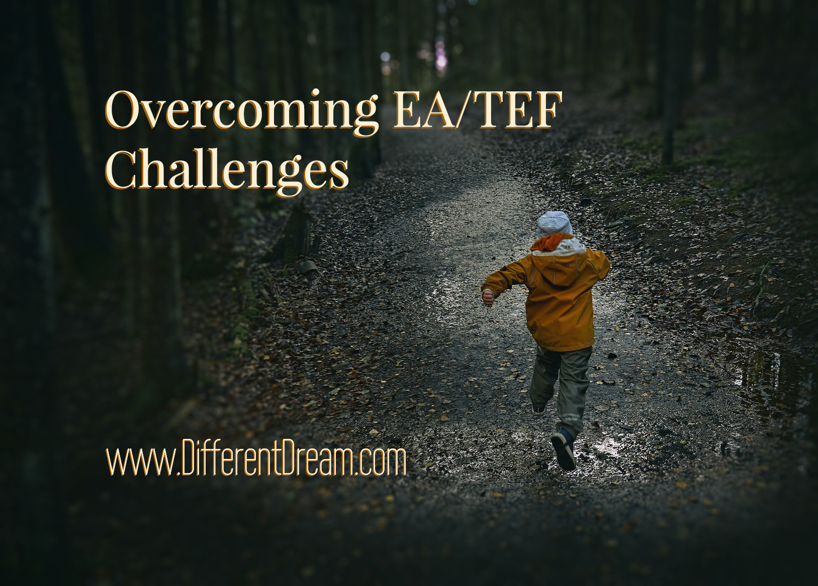 Kelly Simpson gives an EA/TEF update for Different Dream readers and other EA/TEF parents about her son's progress.