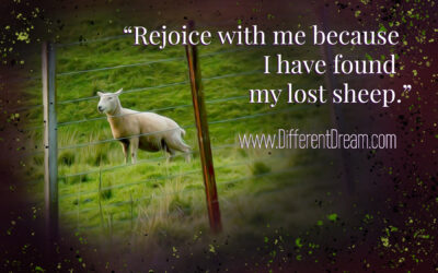 Disability Ministry Goes After the One