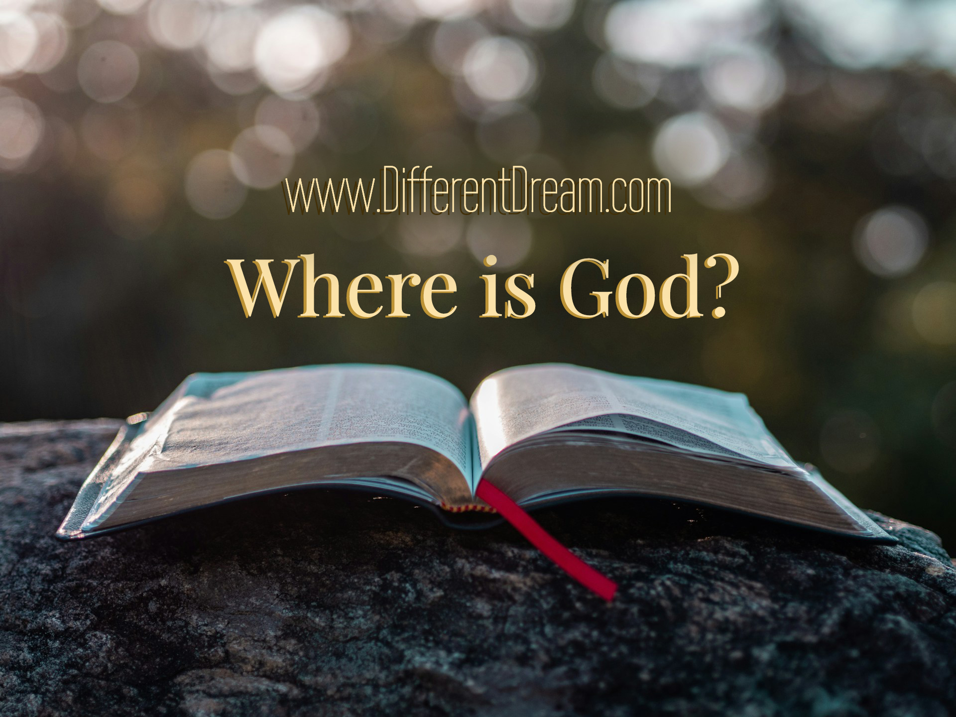 Kristin Faith Evans offers biblical comfort in addressing faith struggles and doubts as special needs parents.