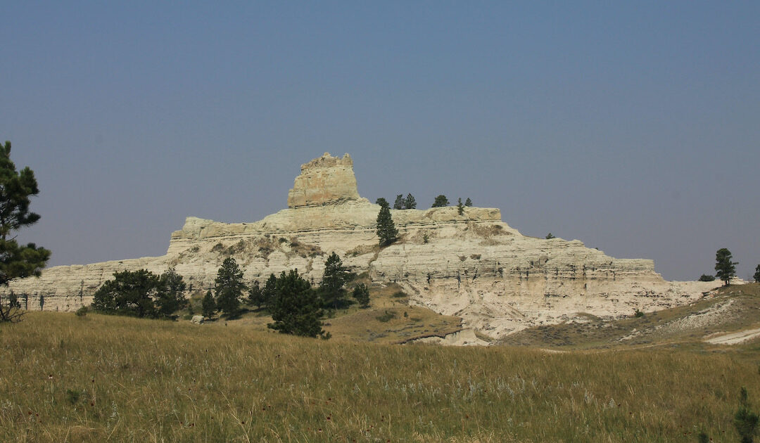 I Just Got Rid of the Ultimate Book Hangover