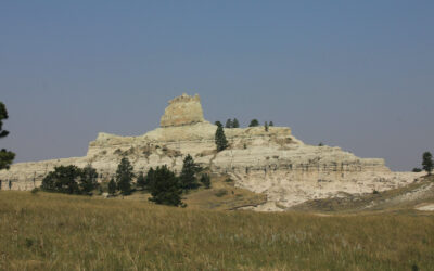 I Just Got Rid of the Ultimate Book Hangover